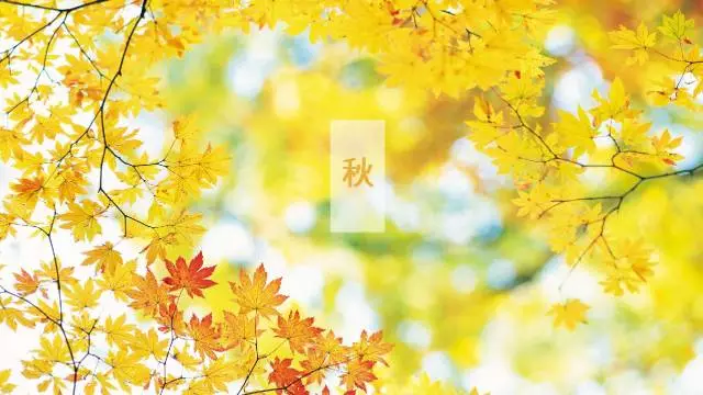 秋高氣爽也一定要除濕的10大領(lǐng)域